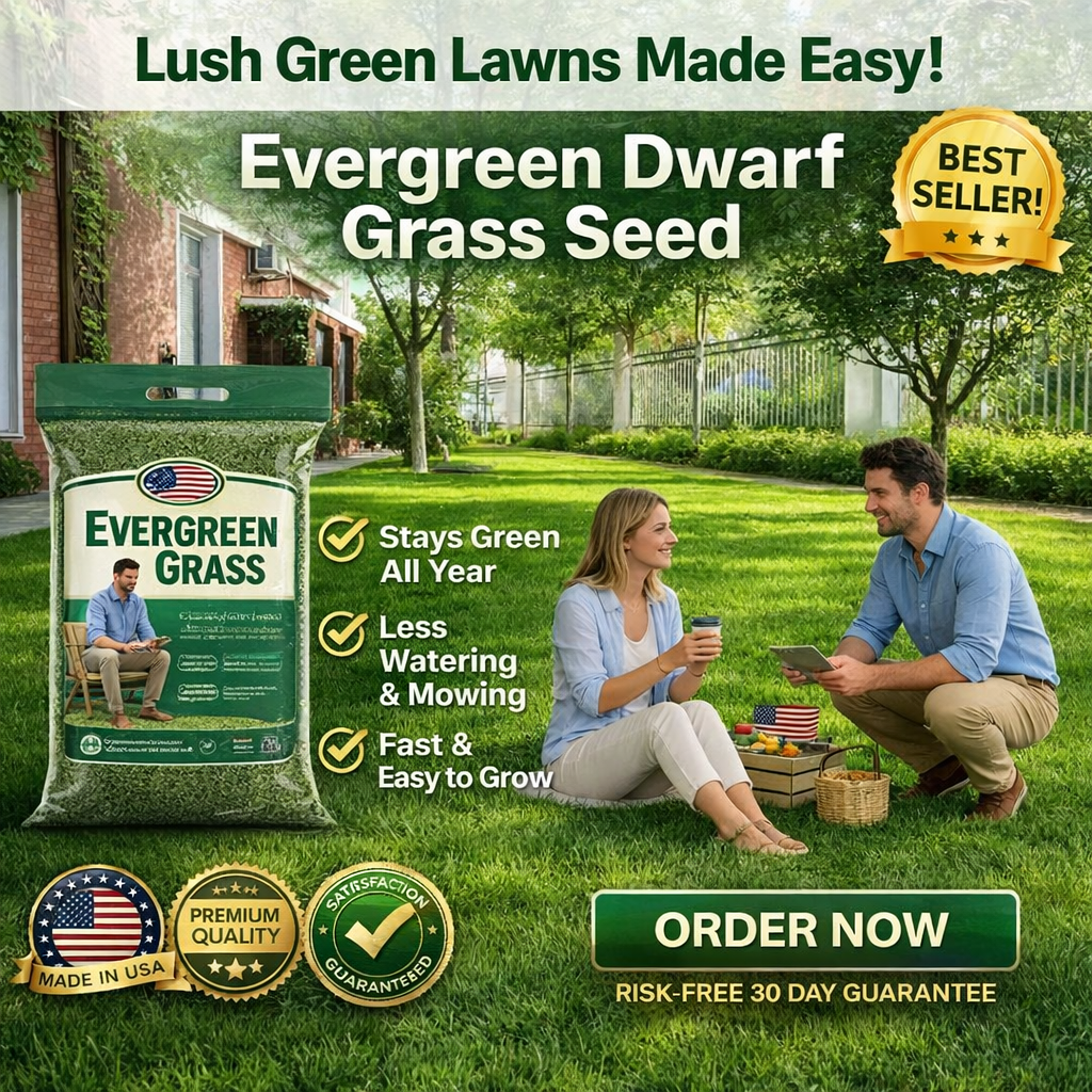 /69d256a89e4cf30009f06e6e/2026/04/16/product-img-69e11e02373c02bd69cc0784.png